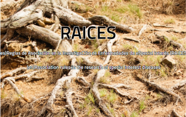 Logo RAICES