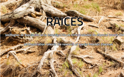 Logo RAICES